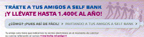 Plan Amigo 2013 Self Bank